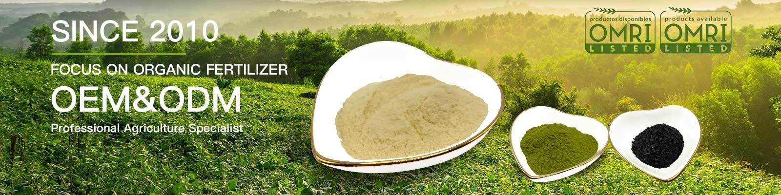 Organic Amino Acids Powder