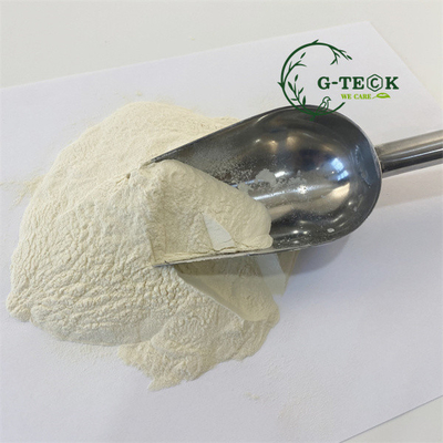 Light Yellow Organic Amino Acids Powder Complete Amino Acid Supplement