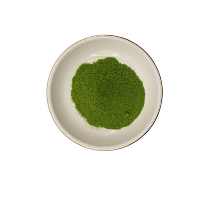 68917-51-1 Green Powdered Seaweed Extract Seaweed Polysaccharides 40%