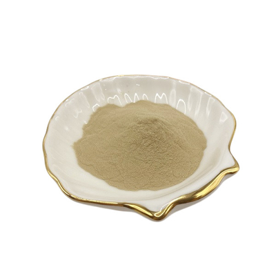 Quick Release Amino Acid Powder for Enhanced Well being