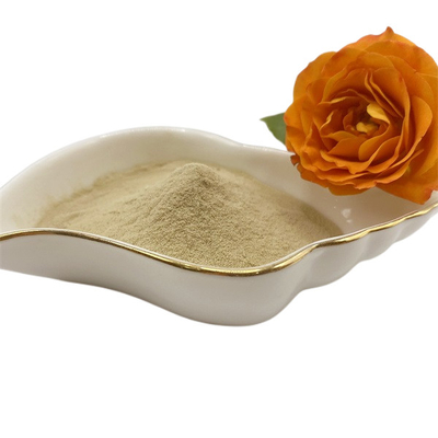 Quick Release Amino Acid Powder for Enhanced Well being