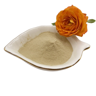 Quick Release Amino Acid Powder for Enhanced Well being