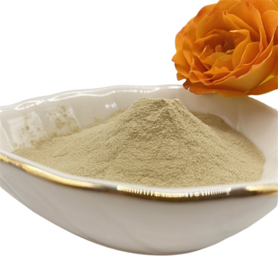 Quick Release Amino Acid Powder for Enhanced Well being