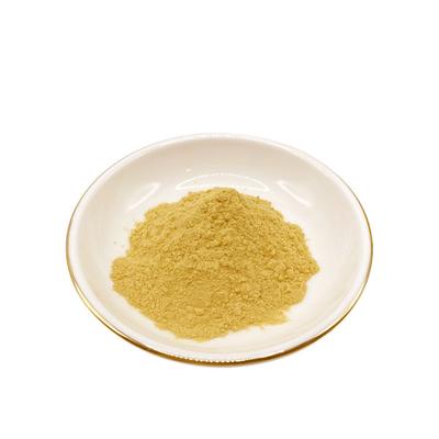 Chitosan Powder of Yellow Color With 5~7 PH Value / <3000DA Molecular Weight