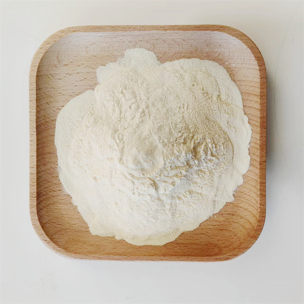 Organic Nitrogen Light Yellow Soy Protein 95 Powder Eco Friendly