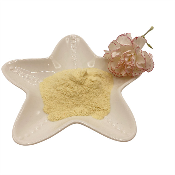 Plant Source Amino Acid Powder Total Water Soluble Amino Acid 80% Powder
