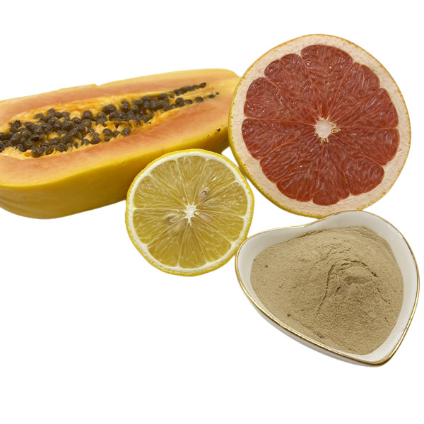 Soybean Meal Powder with 45%-50% Total Amino Acid Nitrogen