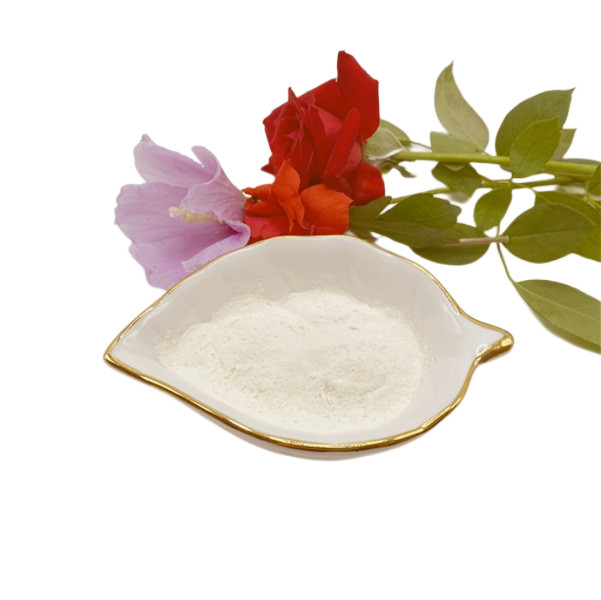CAS No.65072-01-7 Mg10% N10% Chelated Amino Acid Foliar Spray