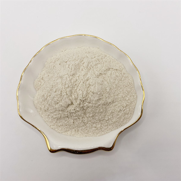 Biopolymer Agricultural Chitosan Powder Linear Polysaccharide